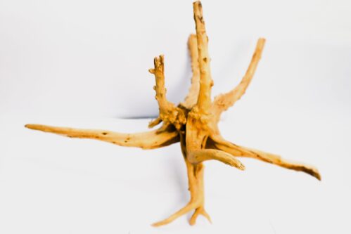 Natural Driftwood for Aquariums with Branches