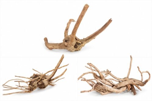 Natural Driftwood for Aquariums with Branches | Perfect for Aquascaping 200gm - size and structure may vary 1 787daf1e 51be 4ab9 b886 5f8621d724d1