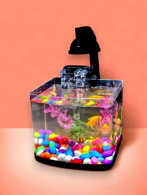 Betta tank