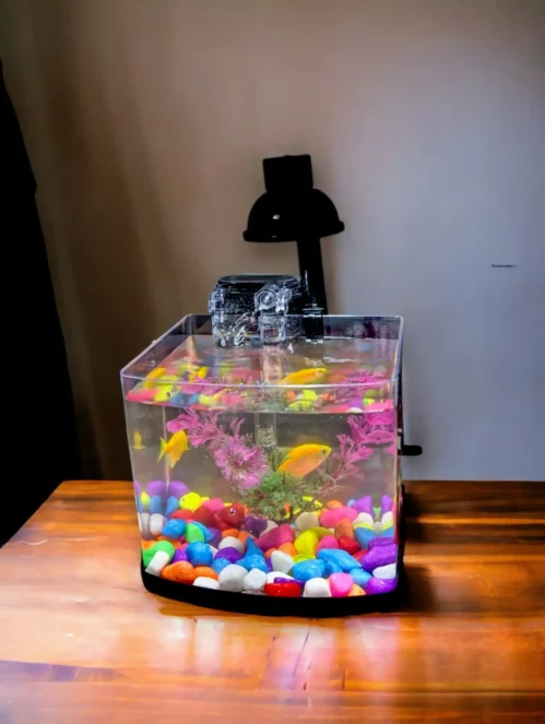 Betta tank