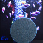 3 Inch Air Stone Round Bubble Diffuser | Ceramic Airstone for Aquarium & Hydroponics Pumps