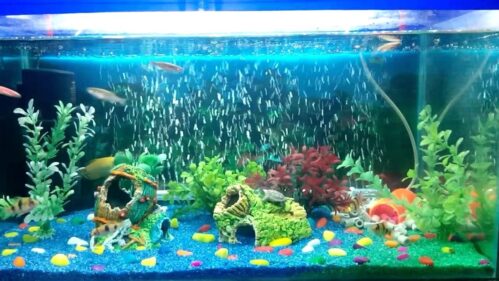 Aquarium/Fish Dancing Bubbles Air Stick