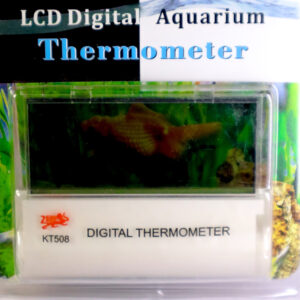 Transparent Digital Thermometer