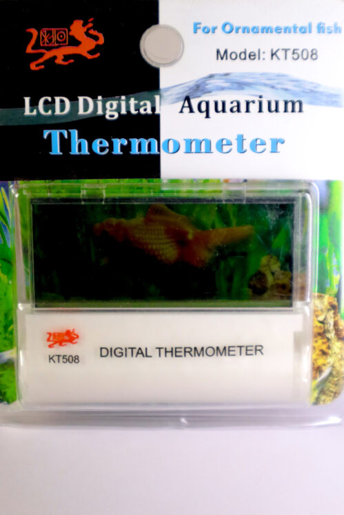 Transparent Digital Thermometer