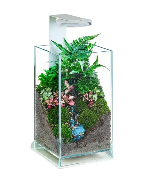 Chihiros Magnetic Light Terrarium Set