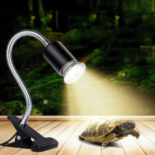 Turtle light