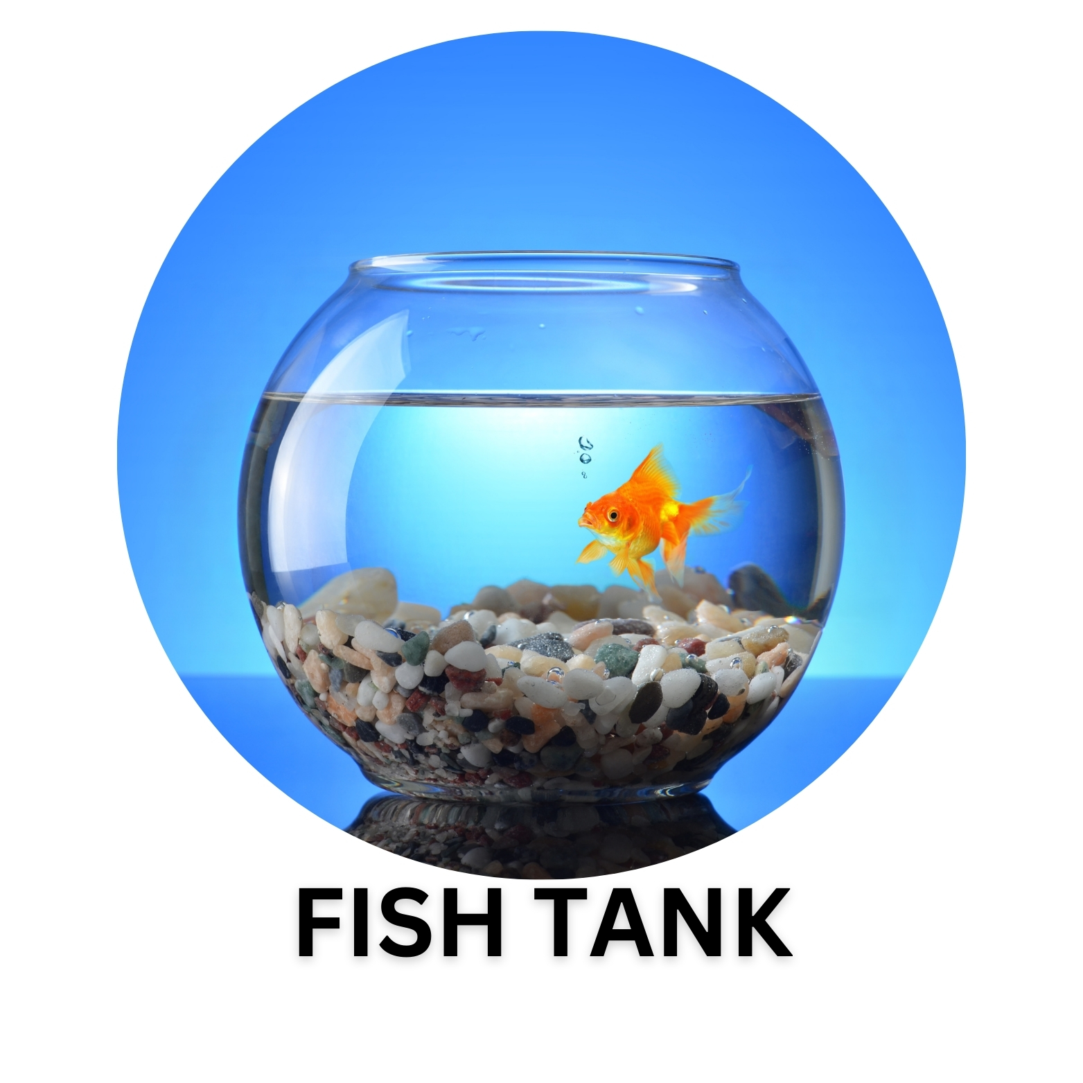 FISH TANK