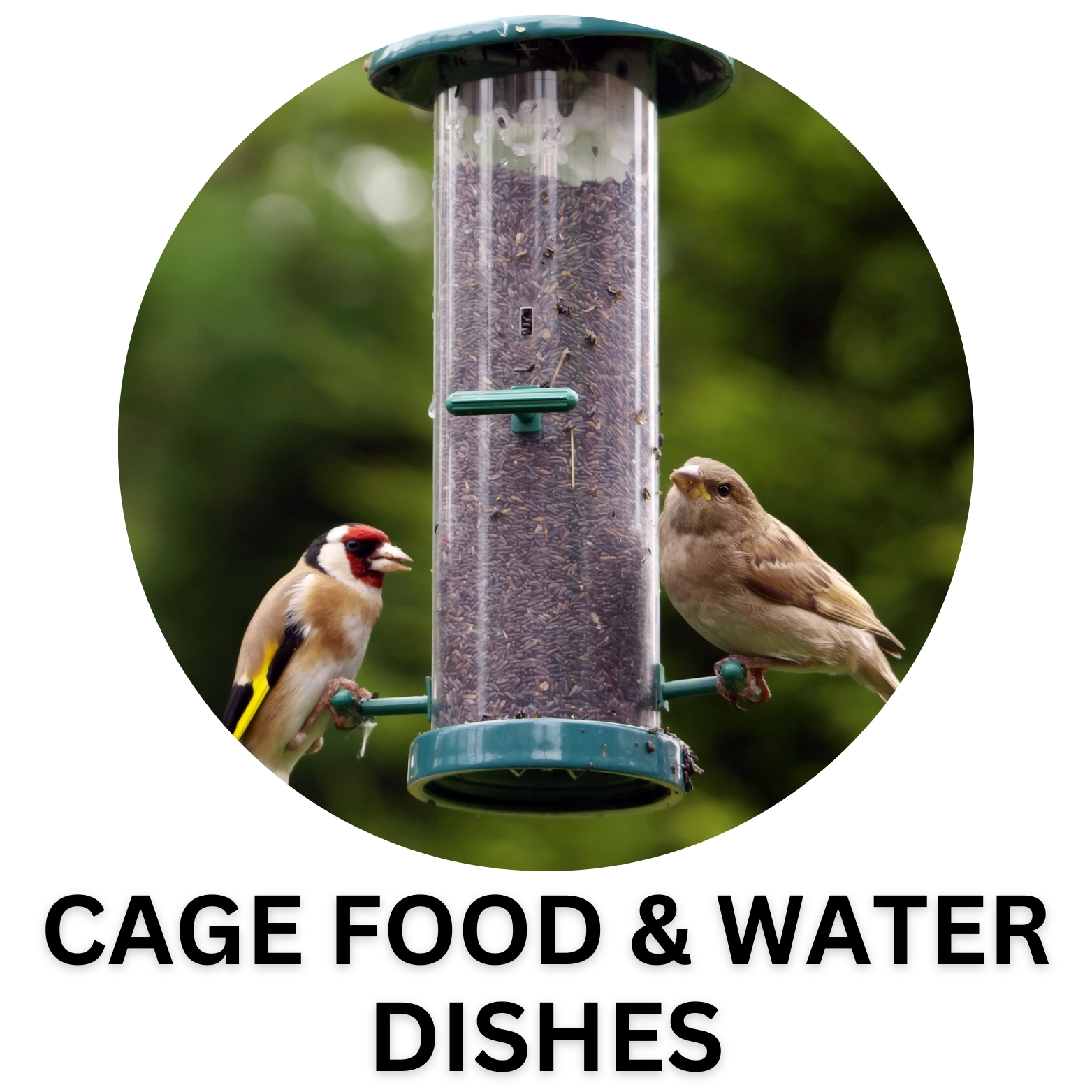 BIRD CAGE FOOD & WATER DISHES