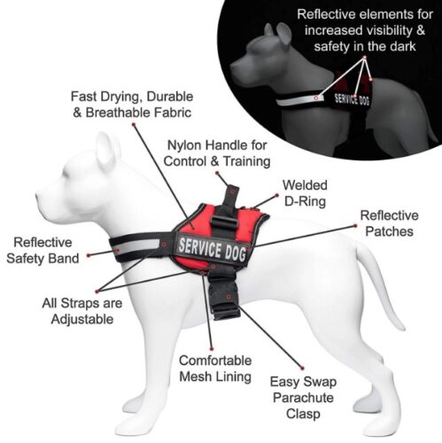 Service Dog Harness