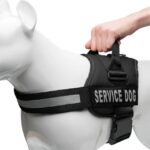 Service Dog Harness Chest Body Belt for Dogs