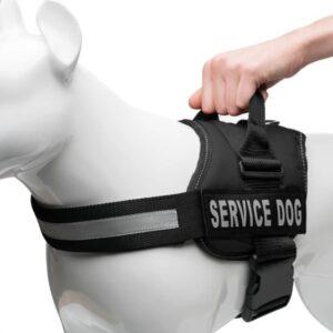 Service Dog Harness