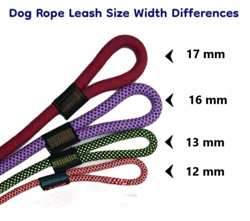 Dog leash