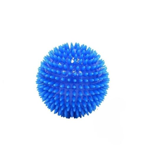 Spiked Rubber Ball for Dogs