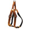  Nylon Dog Harness with Secure Straps