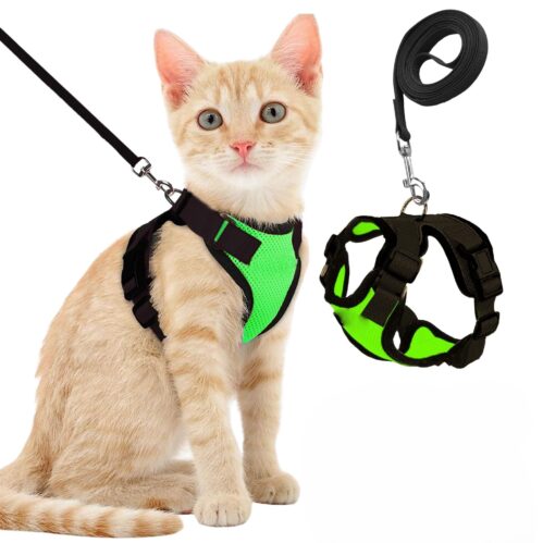 Cat Harness with Leash