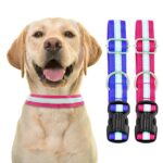 Reflective Dog Collar, Feautures with Adjustable & Durable, Nylon Dog Belt, Heavy Metal D Ring & Strong Breakaway Buckle, for Dogs (Multicolor)