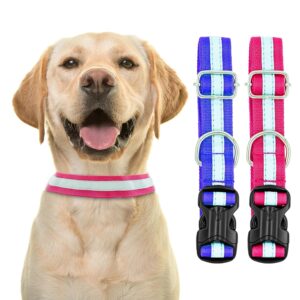 Reflective Dog Collar