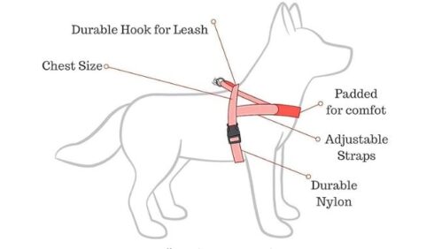  Nylon Dog Harness with Secure Straps