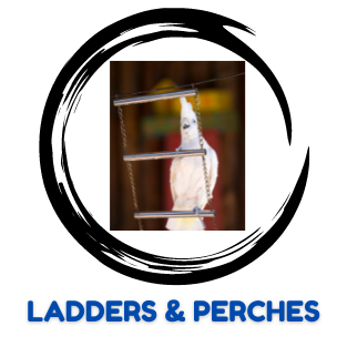 BIRD LADDERS & PERCHES