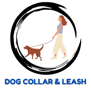 DOG COLLAR & LEASH