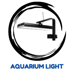 AQUARIUM LIGHTS