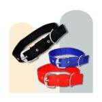 Nylon Dog Collar Especially for small breed dogs Dog Everyday Collar