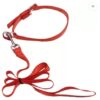 Dog Collar Belts and Leash Set