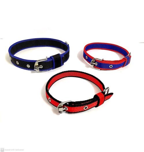 PP Dog Collars