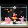 Aquarium toys