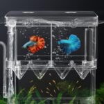 Fish Isolation & Breeding Box Best for fish – Large