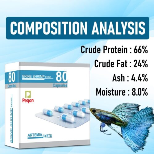 Artemia Capsules Brine Shrimp Eggs
