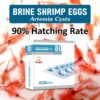 Artemia Capsules Brine Shrimp Eggs