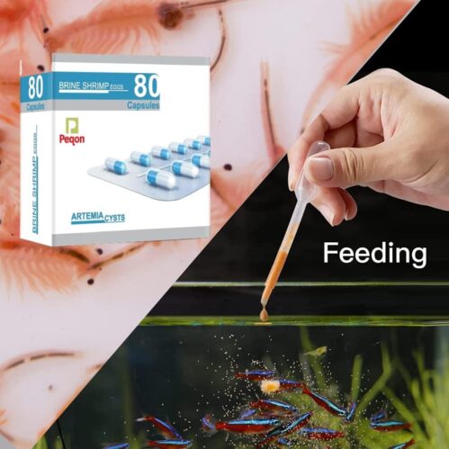 Artemia Capsules Brine Shrimp Eggs