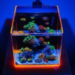 Home 21 MARINE TANK