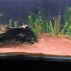 Aquarium Natural Look Red River Sand