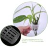 Hanging Aquarium Plant Holder
