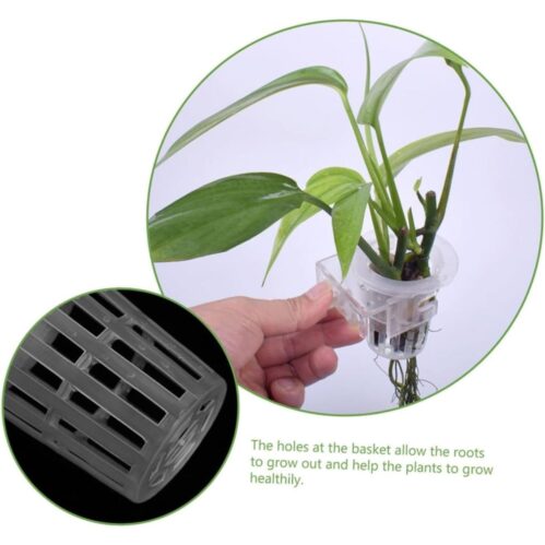 Hanging Aquarium Plant Holder