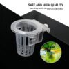 Hanging Aquarium Plant Holder