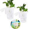 Hanging Aquarium Plant Holder