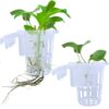 Hanging Aquarium Plant Holder