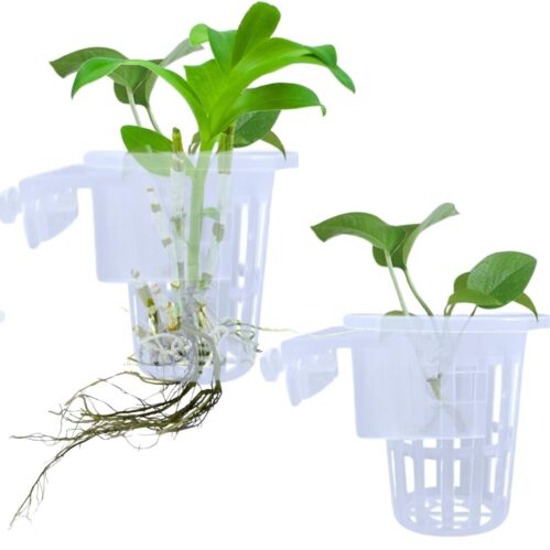 Hanging Aquarium Plant Holder