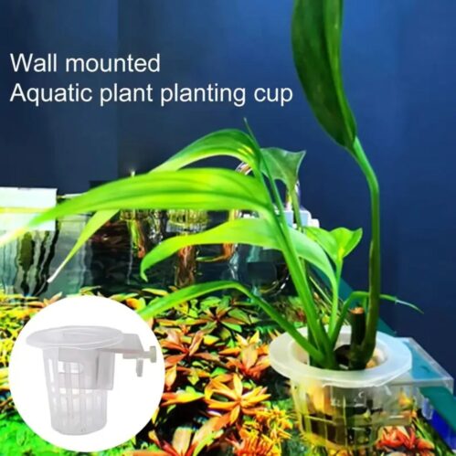 Hanging Aquarium Plant Holder