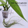 Hanging Aquarium Plant Holder