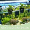 Hanging Water Plant Holder