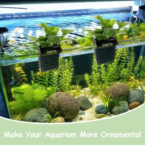 Hanging Water Plant Holder