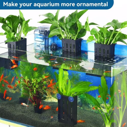 Hanging Water Plant Holder