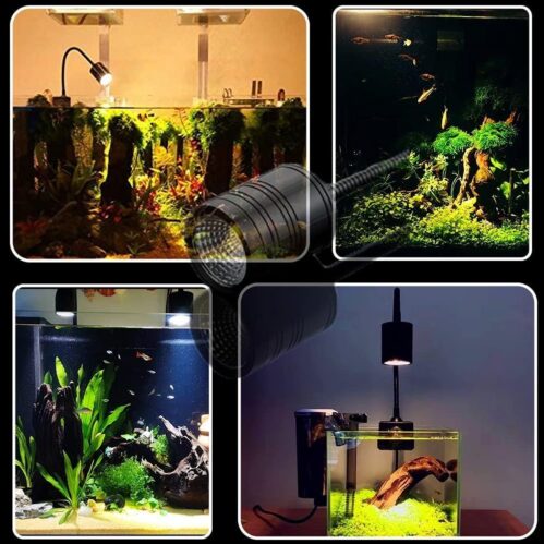 Underwater Spotlight 360°