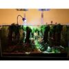Underwater Spotlight 360°