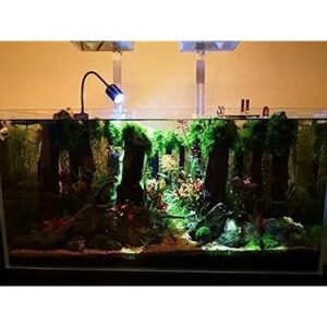 Underwater Spotlight 360°