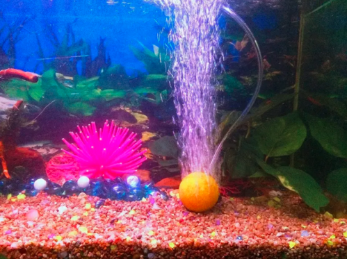 Ball Shaped Aquarium Air Stone